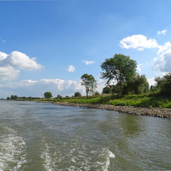 Duursche Waarden (IJsselvallei)